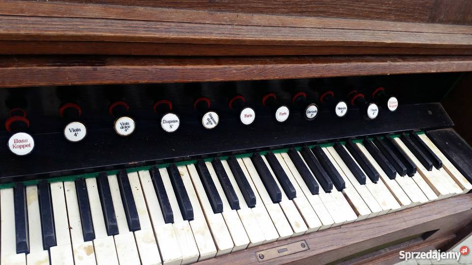 SPRZEDAM FISHARMONIĘ Łukowica sprzedam