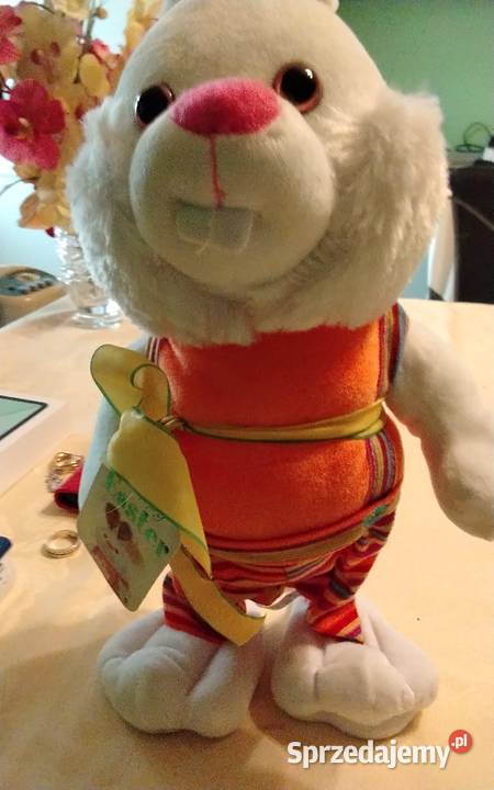 Sprzedam Wrocław sprzedam