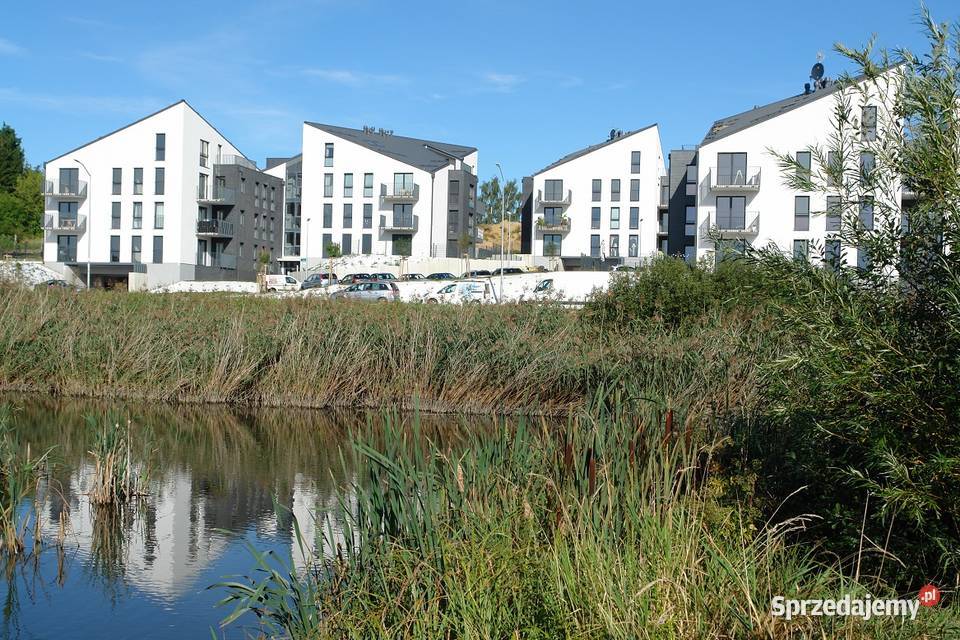 Apartament Summer Dream wynajmę średnioterminowo Szczecin