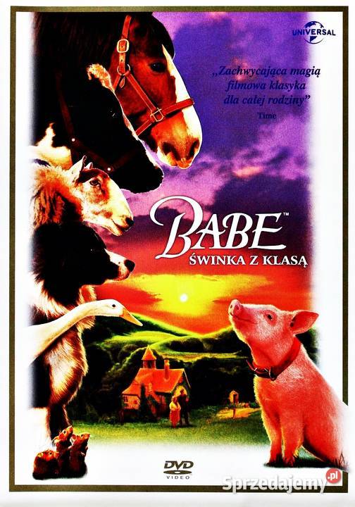 BABE ŚWINKA Z KLASĄ Kalisz