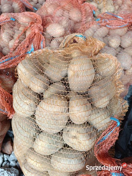 Ziemniaki jadalne Tarnobrzeg sprzedam