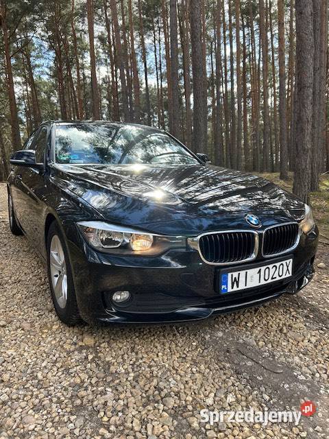 BMW F30 316i 2014 136 Polski salon Skora CarPlay 1598cm3 Kożuchów