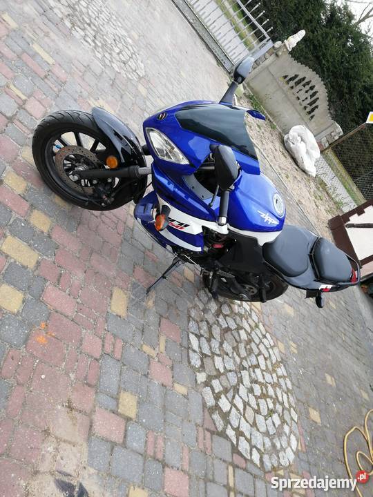 Zip Pro 50 Rok produkcji 2013 Kołobrzeg