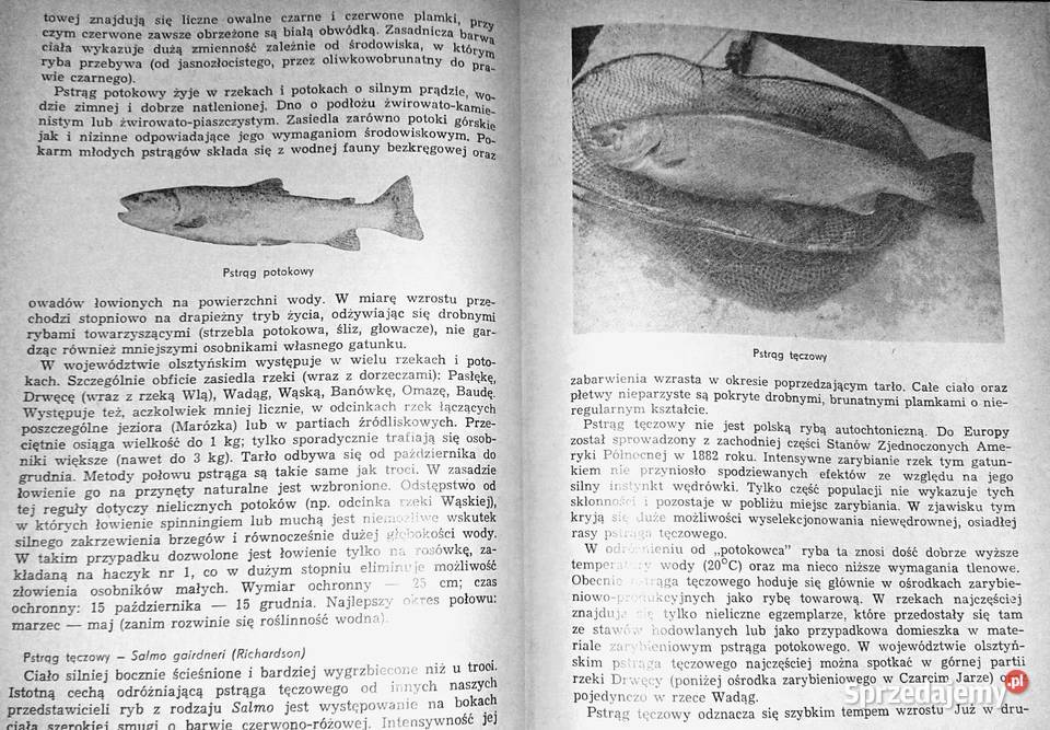 Przewodnik wędkarski jeziorach olsztyńskich Rok wydania 1974 Chełm