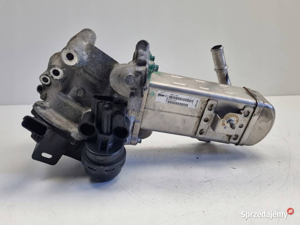 Ford Galaxy MK2 20 TDCI CHŁODNICA SPALIN egr Rudka