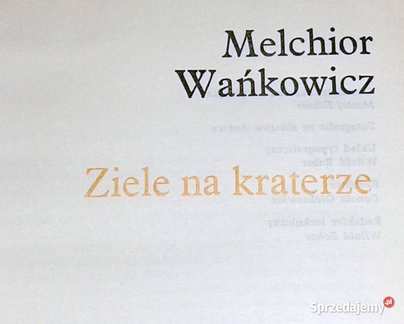 Ziele na kraterze Melchior Wańkowicz lubelskie