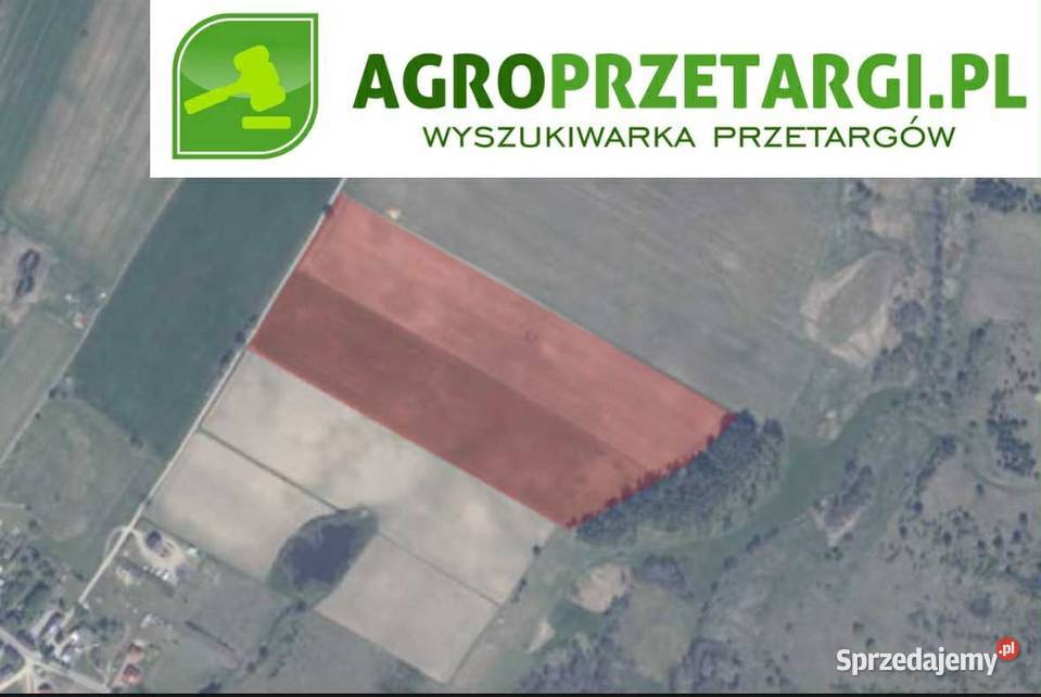 Dzierżawa 745 ha gruntu rolnego Starogard Gdański