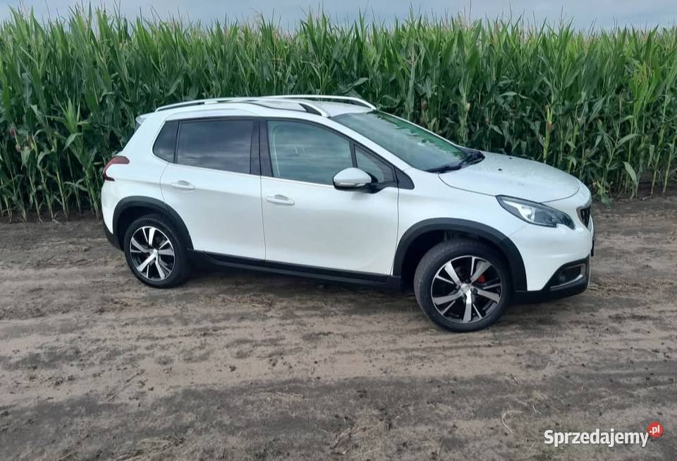 Peugeot 2008 2018 2008 Damasławek