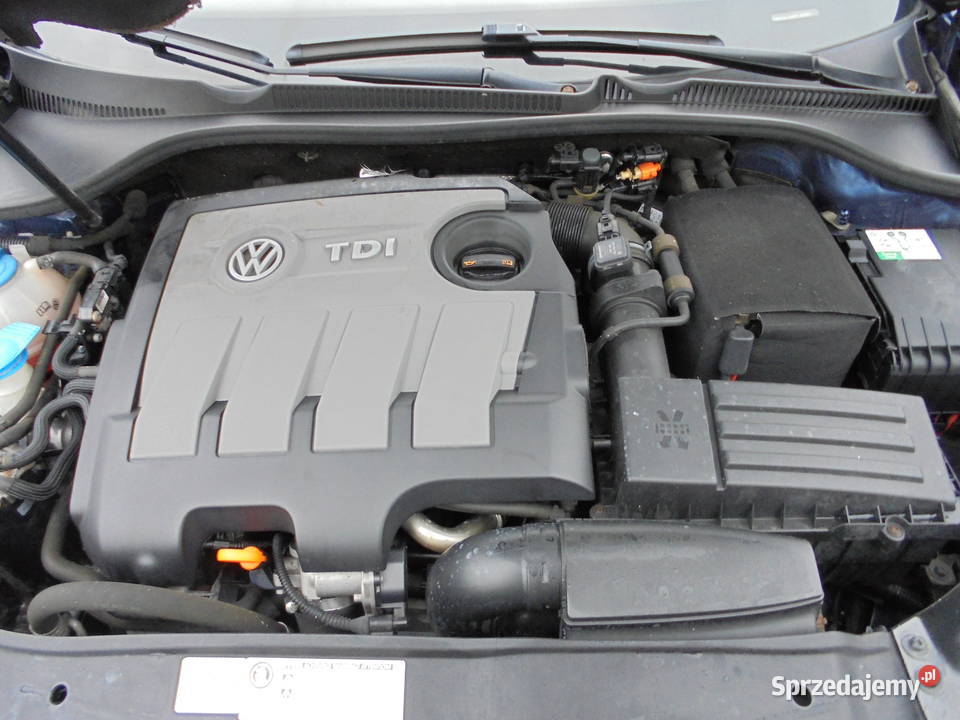 Volkswagen Golf 16 TDI DPF Comfortline Bydgoszcz