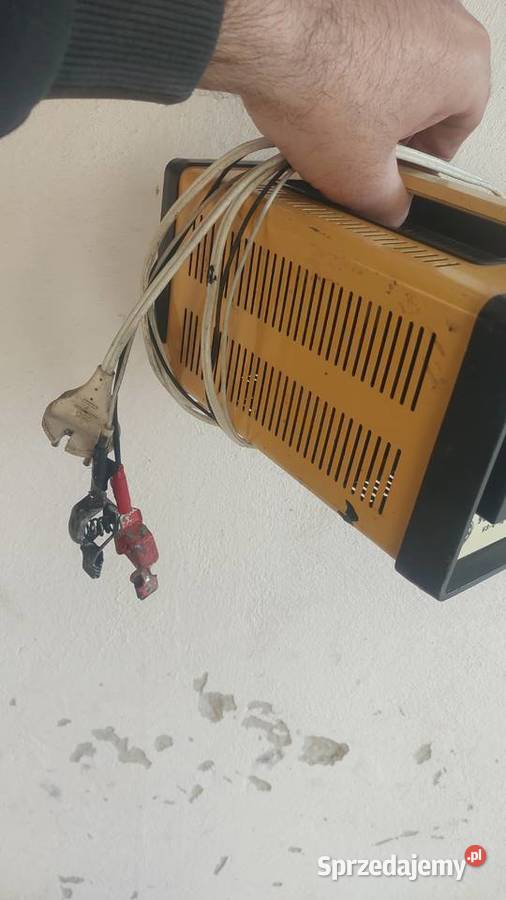 Prostownik rosyjski podkarpackie Ropczyce sprzedam