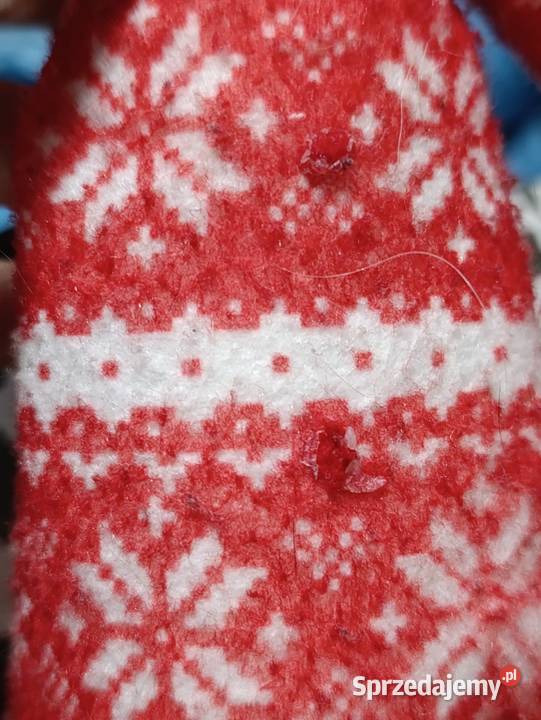 figurka to Elf Psotnik znany również jako Elf on Poznań