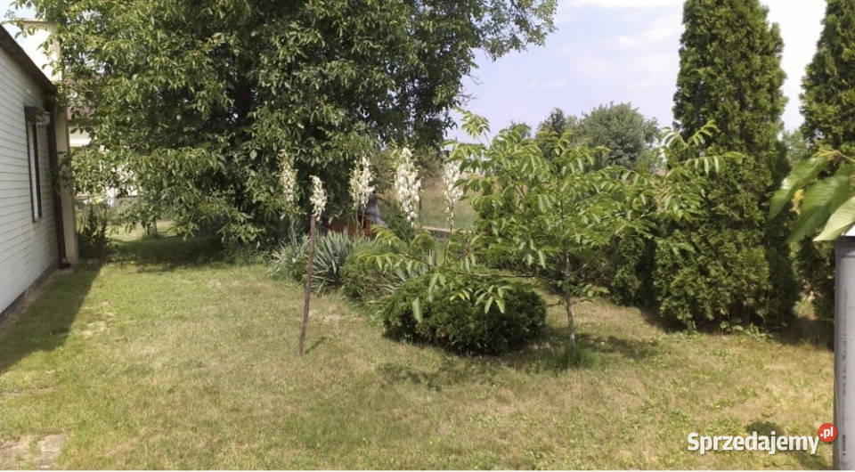 Sprzedam Dom całoroczny Mokrzec