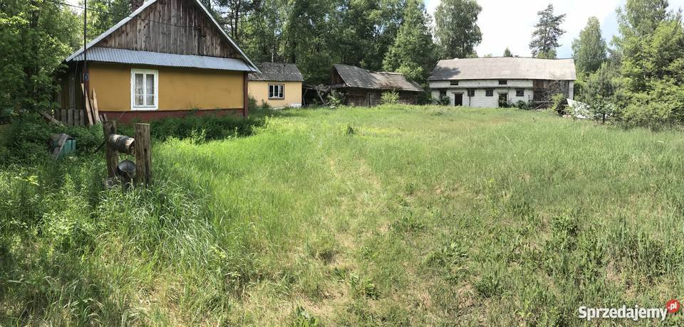 Siedlisko ma roztoczu Czarny Las-Kolonia