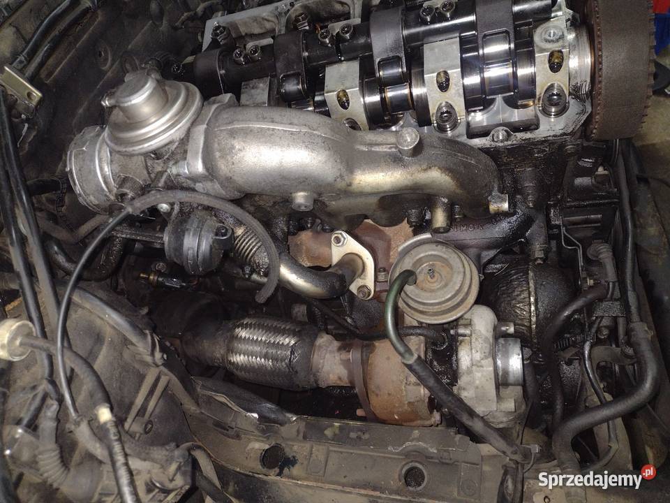 Silnik pasat b5 polift AVF na części osobowe Nowy Sącz