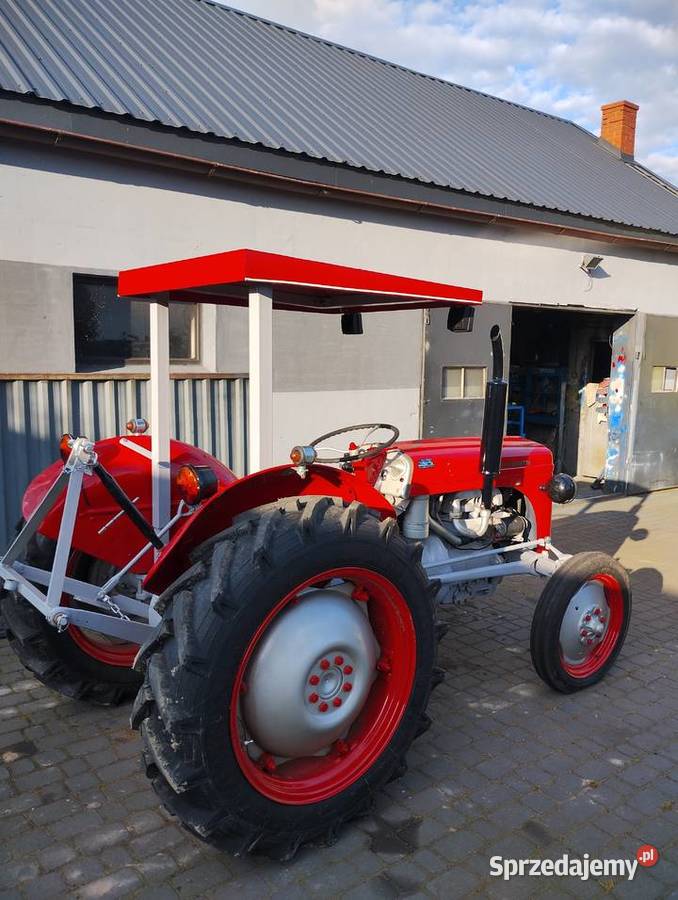 Traktor Massey Ferguson cackoZamiana kujawsko-pomorskie Chełmża