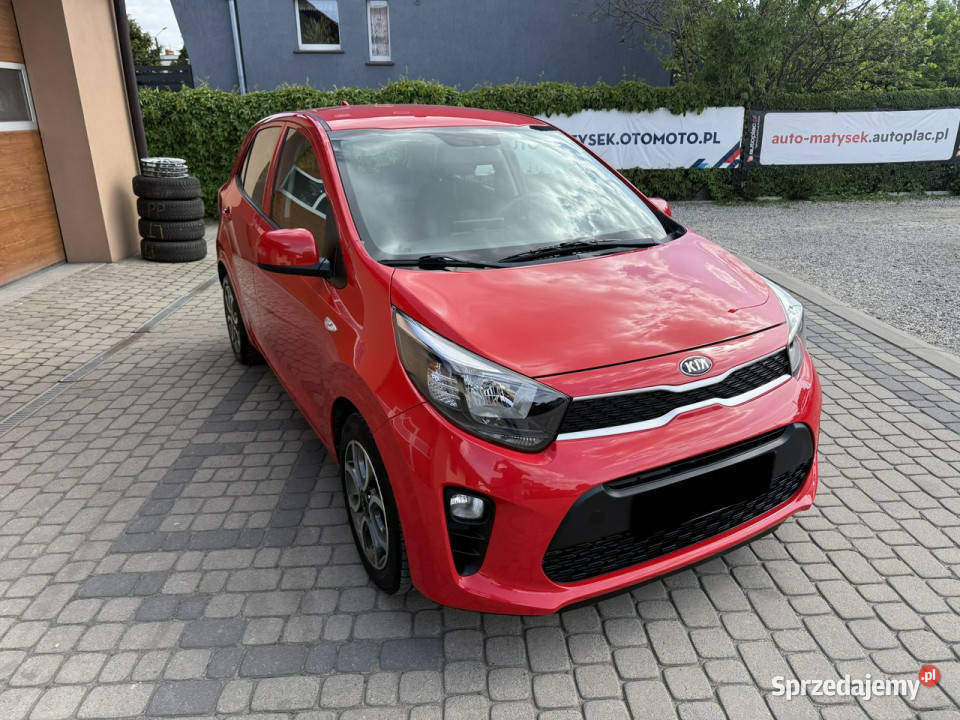 Kia Picanto 10 67 Klimatyzacja Kamera CarPlay Orzech sprzedam