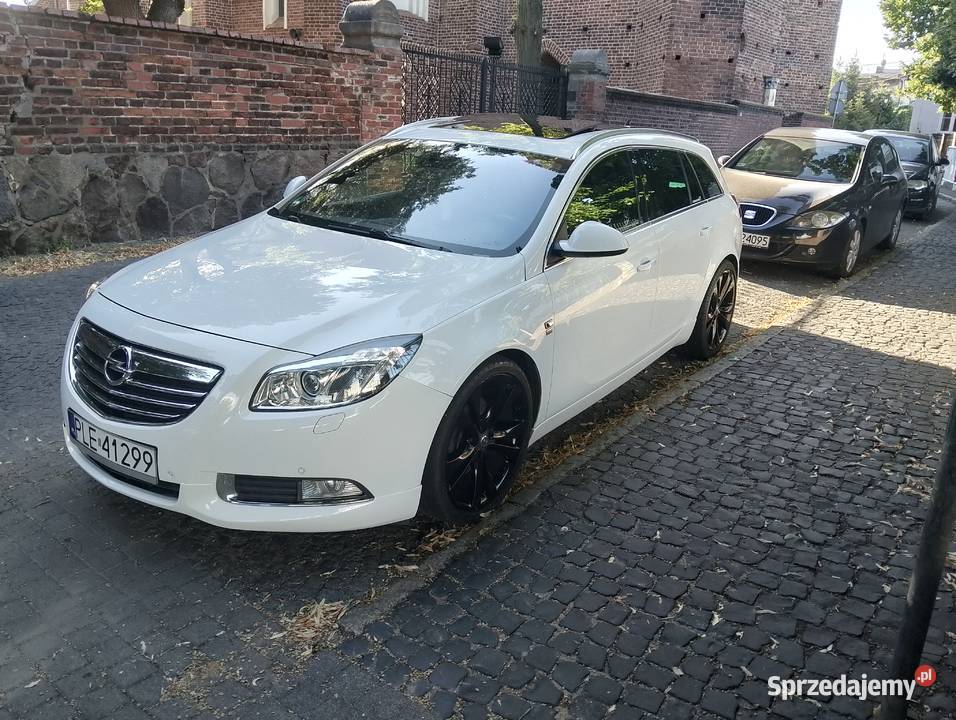 Opel Insignia wielkopolskie Leszno
