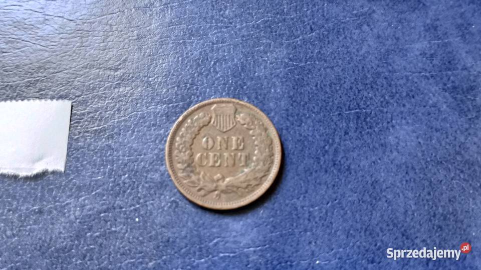 Stare monety 1 cent 1902 USA podkarpackie Lesko
