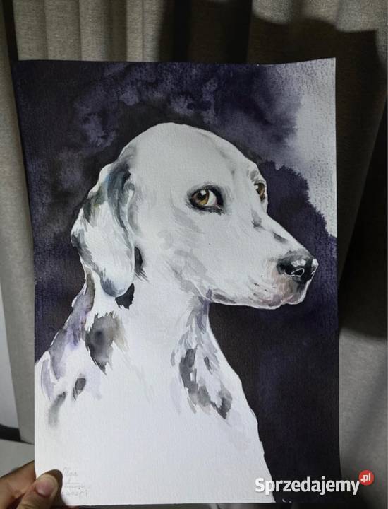 Akwarela pies Obraz Skierniewice