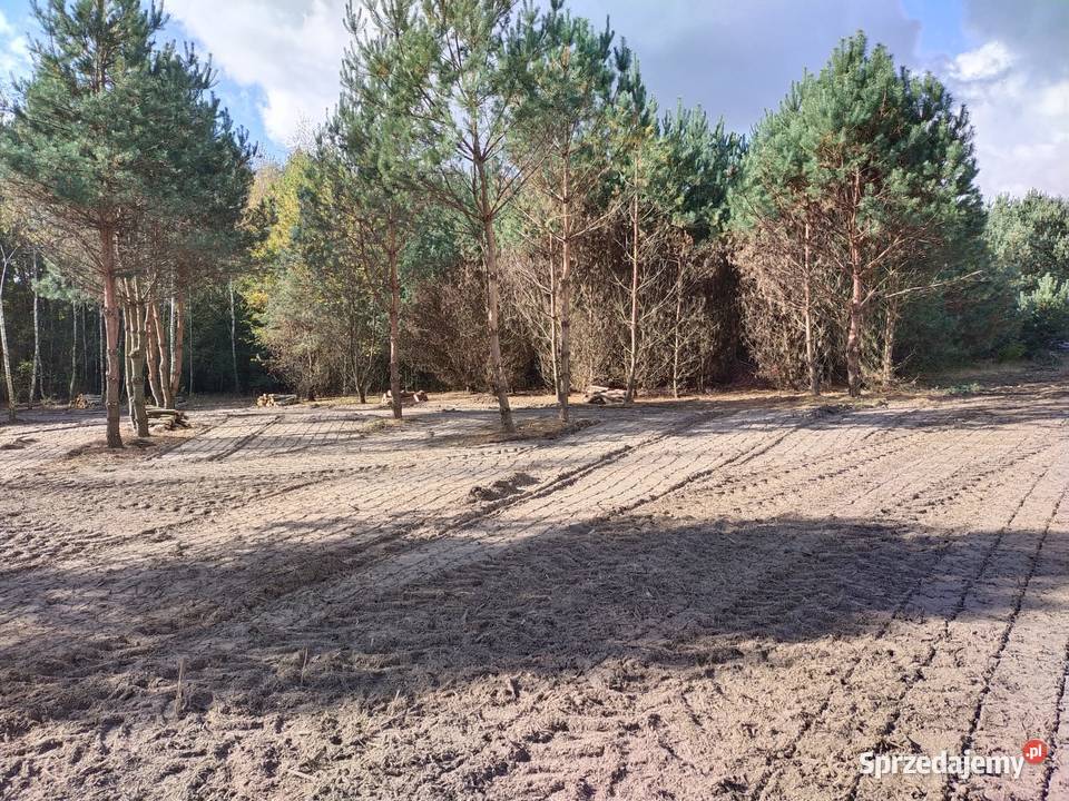 Działki budowlane 10 Płońska Kępa