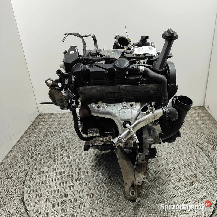 Silnik VW TRANSPORTER VI T6 Furgon SGA SGH 2019 Silniki kompletne Silniki kompletne Poznań sprzedam