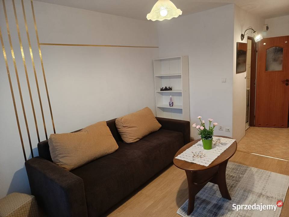 Kawalerka do wynajęcia 48506570m2 Płock