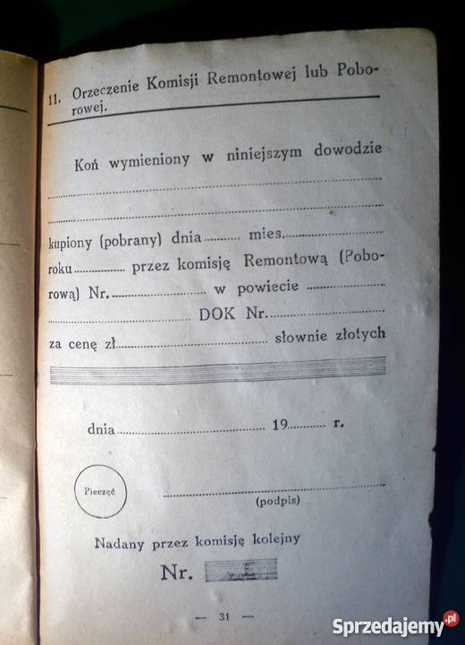 ANTYK 1934 Dowód tożsamości KONIA