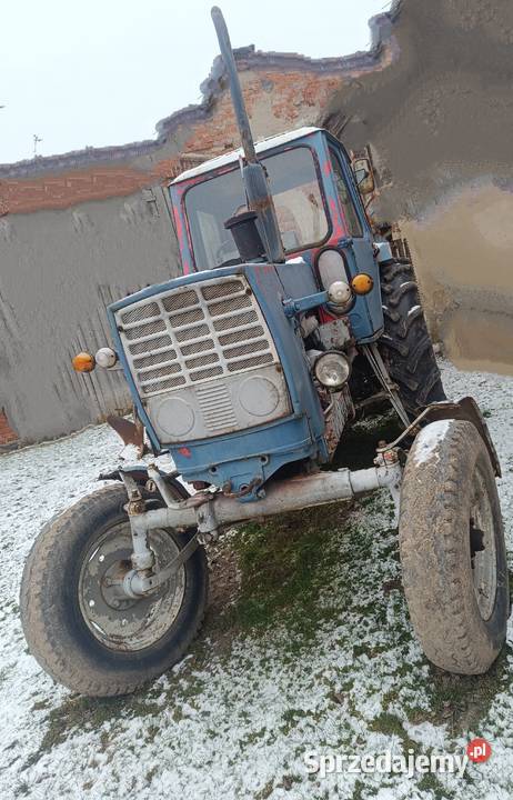 Ciągnik rolniczy Białoruś Jumz D65 Belarus dolnośląskie Jawor