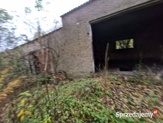 Syndyk sprzeda nieruchomość w miejscowości