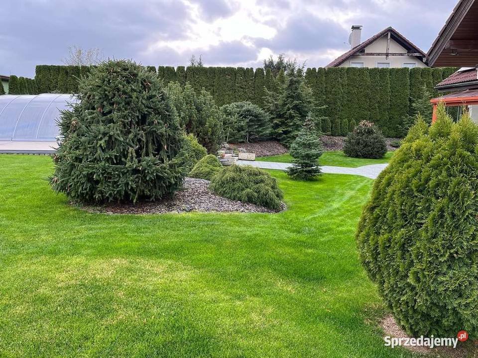 Usługi Ogrodnicze Wertykulacja wycinki drzew Bielsko-Biała