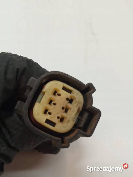 SONDA LAMBDA 6 PINÓW F1F19Y460DA Ford Focus Mk3 świętokrzyskie