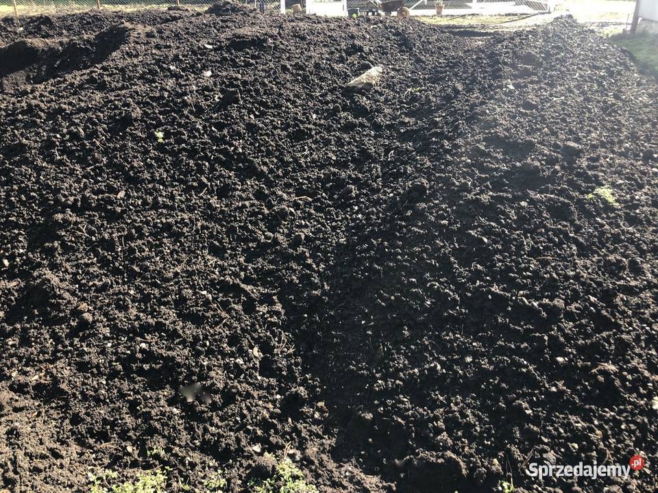 Ziemia ogrodnicza kujawsko-pomorskie Włocławek sprzedam