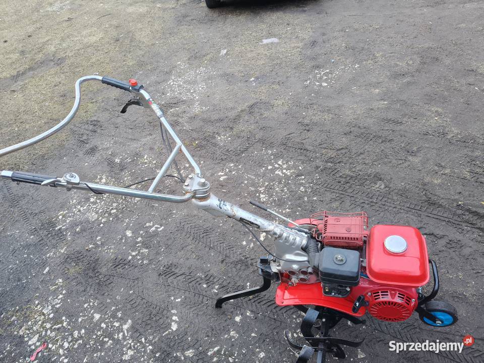 Glebogryzarka spalinowa Honda Dąbrowa Biskupia sprzedam