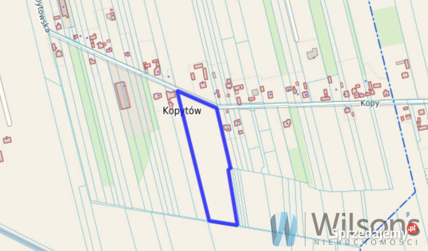 Działka do sprzedania 16700m2 Kopytów Sprzedaż sprzedam