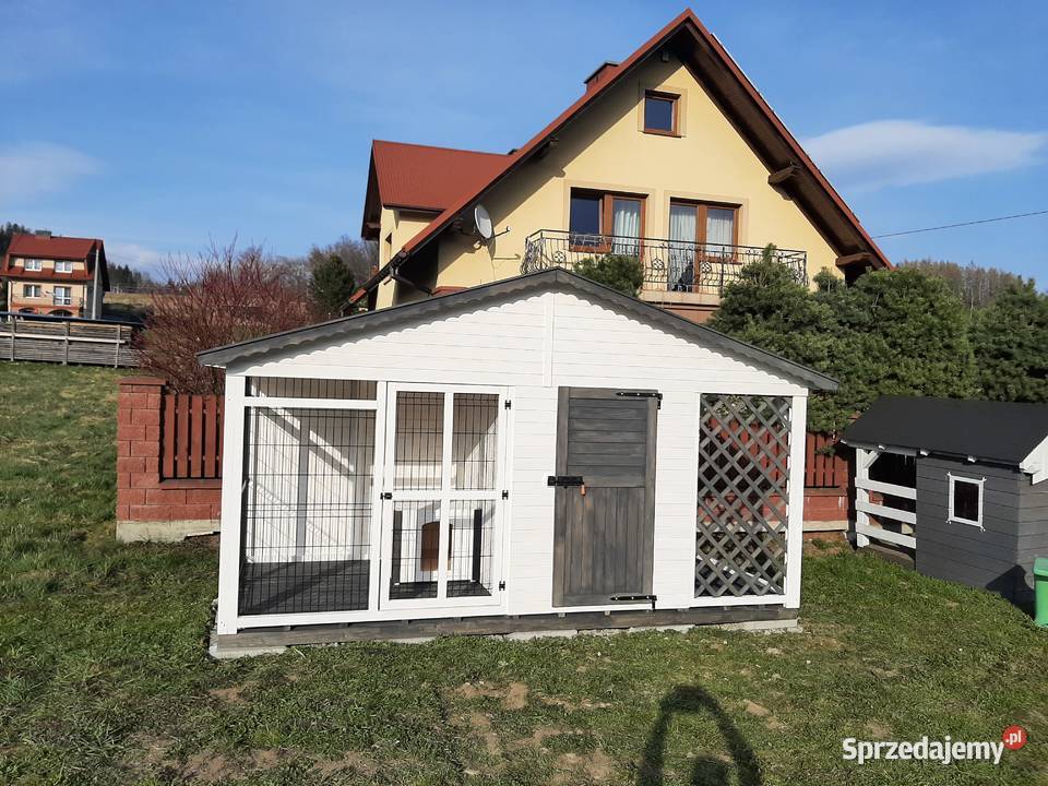 Kojec psa Jordanów