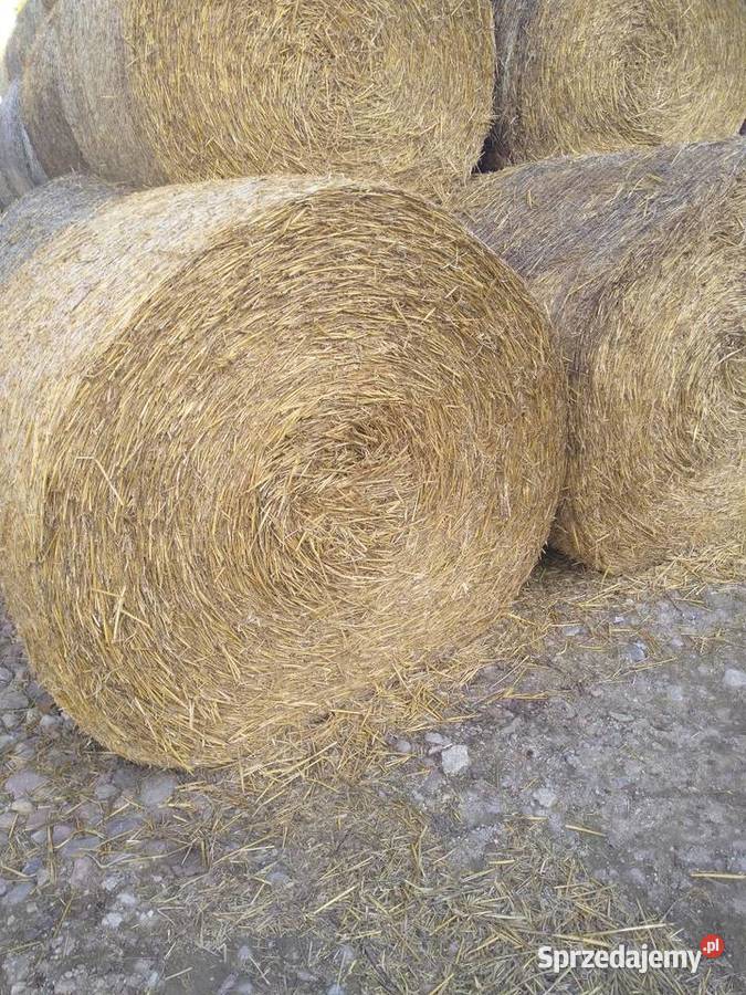 Słoma 150 mazowieckie Łosice