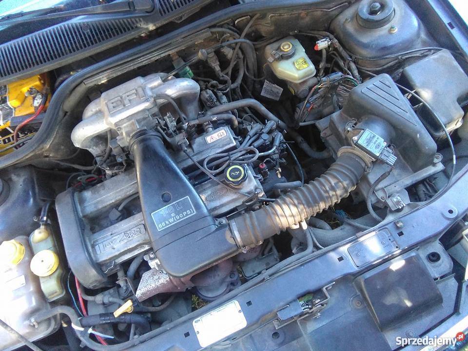 Ford Escort MK7 1.6 16V Zetec 1995r. Cena do negocjacji