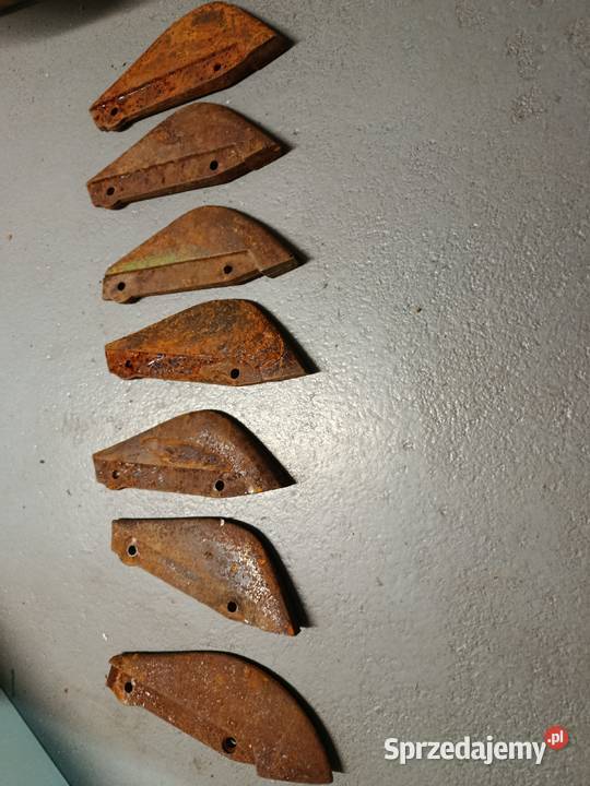 Redlice siewnik Amazone D8 D9 wielkopolskie Gniezno