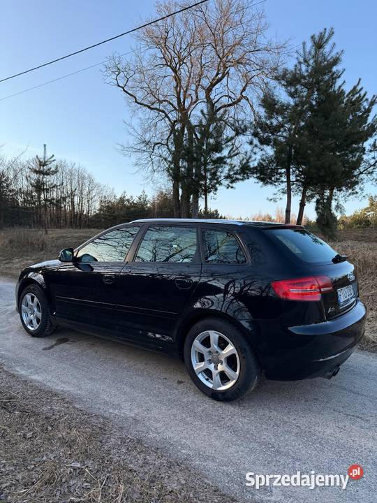 Audi A3 8P 2009r 20 TDI CR wielkopolskie Turek