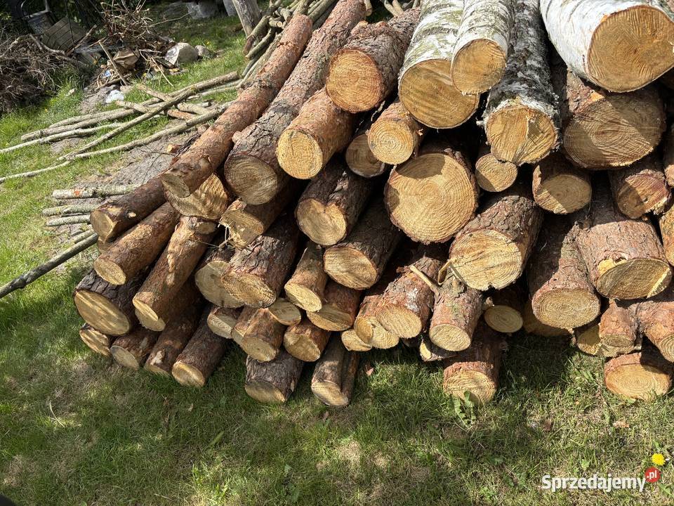 Sprzedam drewno kominkowe Brzoza Sosna Opał Mrocza sprzedam