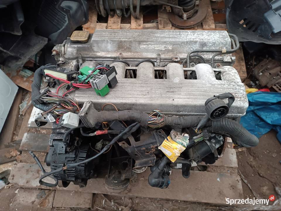 SILNIK KPL OPEL OMEGA B 25 TD DIESEL V6 Silniki kompletne Nowy Tomyśl sprzedam