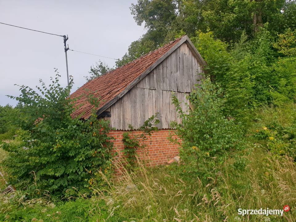 Syndyk sprzeda udziały w działkach w tym udział Skowrony sprzedam