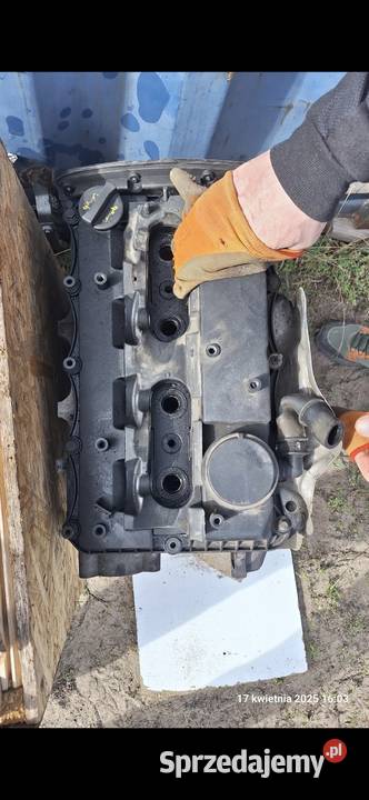 Blok silnika Transita Custom 2015 czesci Blok silnika Poznań