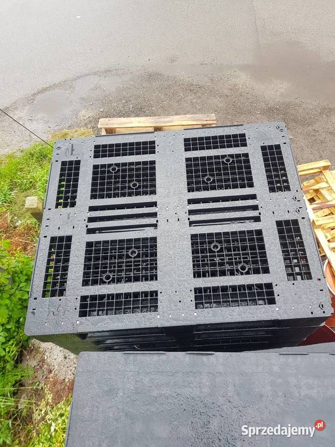 Palety plastikowe różne rozmiary Ławnica sprzedam