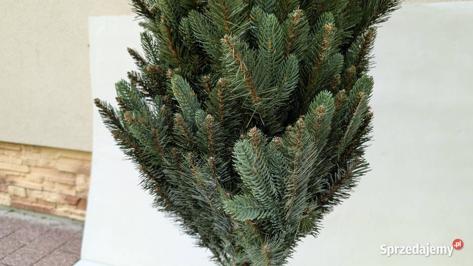 Choinka sztuczna Fairytrees Nordmann 150 jodła małopolskie