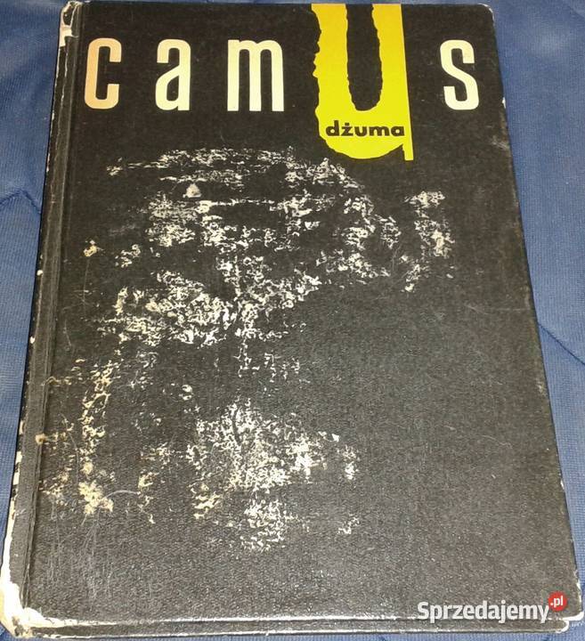Dżuma Albert Camus Chełm