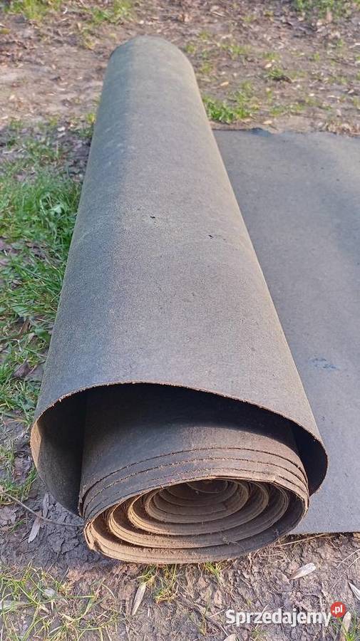 Papa smołowa Tarnowo Podgórne