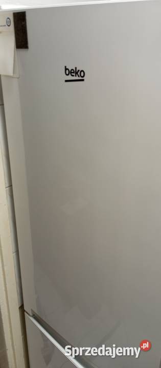 Lodówka BEKO 170 Lodówko zamrażarka BEKO 300 54cm Wołomin