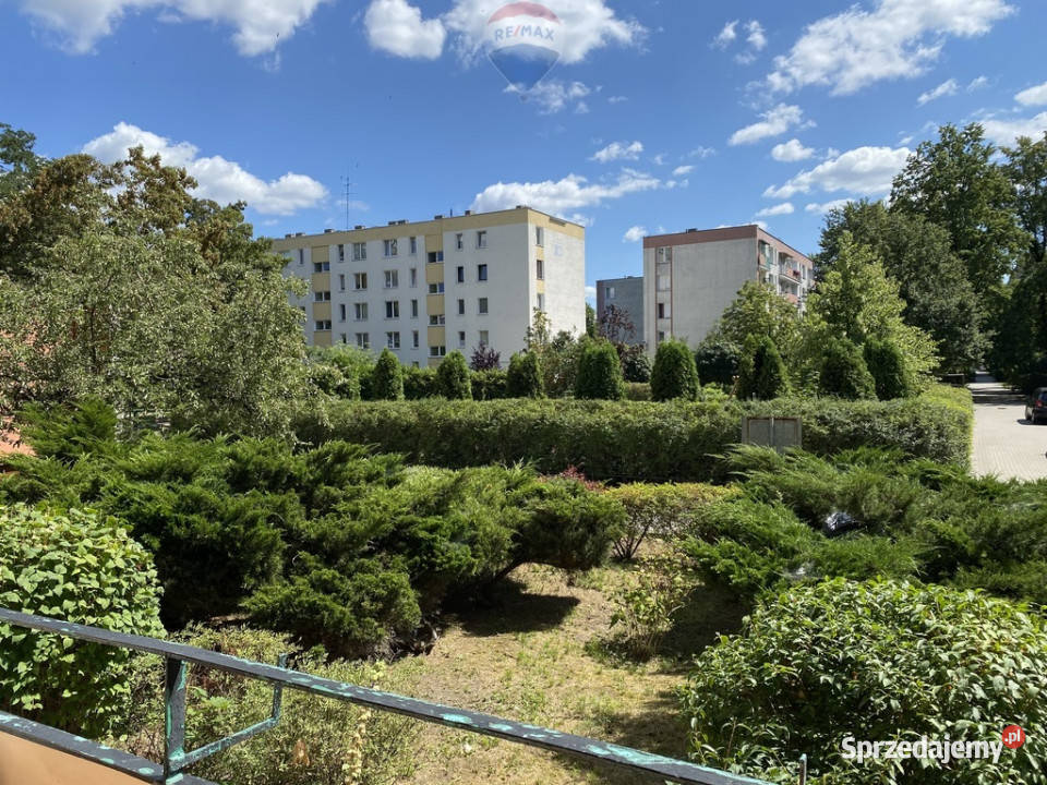 2 niezależne pokoje balkon dużo zieleni Warszawa