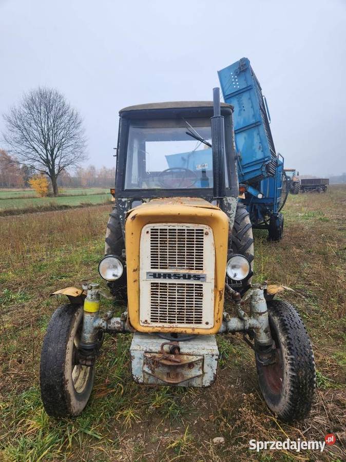 Ciągnik Ursus C3603P
